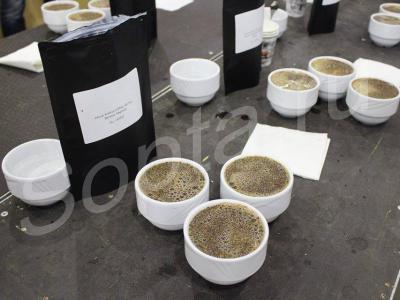 Barista School ( )